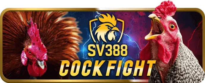 Dịch vụ hỗ trợ khách hàng của vk88 chính thức